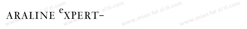 Garaline Expert字体转换
